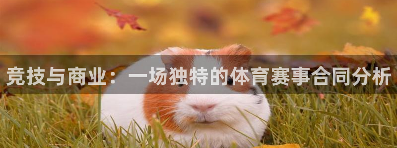 竞技与商业：一场独特的体育赛事合同分析