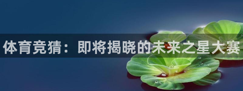 体育竞猜：即将揭晓的未来之星大赛