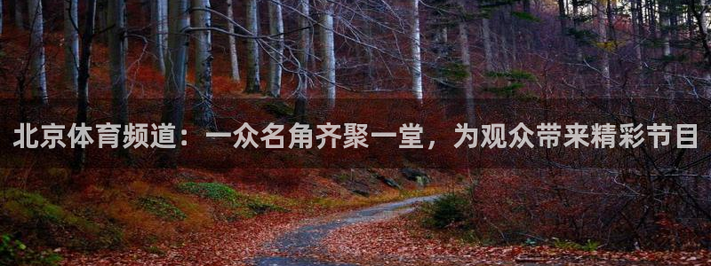 北京体育频道：一众名角齐聚一堂，为观众带来精彩节目