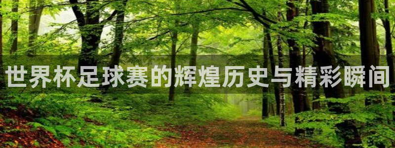 世界杯足球赛的辉煌历史与精彩瞬间