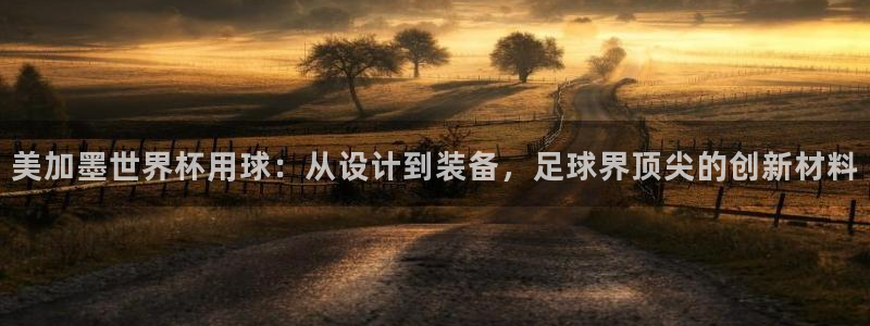 美加墨世界杯用球：从设计到装备，足球界顶尖的创新材料