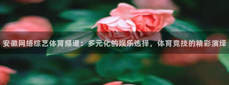安徽网络综艺体育频道：多元化的娱乐选择，体育竞技的精彩演绎