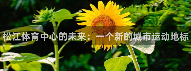 松江体育中心的未来：一个新的城市运动地标