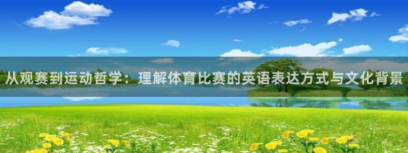 从观赛到运动哲学：理解体育比赛的英语表达方式与文化背景