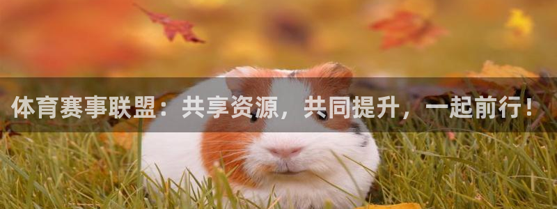 体育赛事联盟：共享资源，共同提升，一起前行！