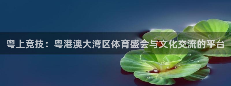 粤上竞技：粤港澳大湾区体育盛会与文化交流的平台