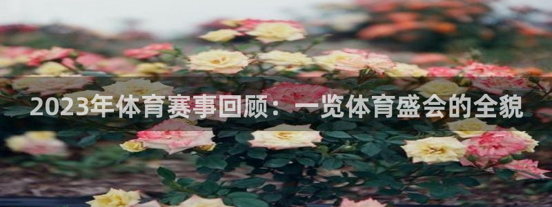 2023年体育赛事回顾：一览体育盛会的全貌