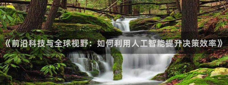 《前沿科技与全球视野：如何利用人工智能提升决策效率》