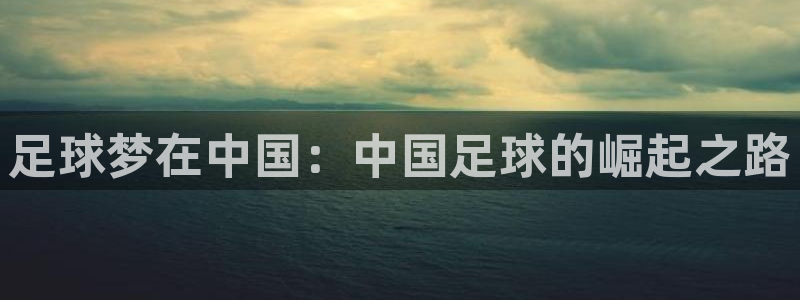 足球梦在中国：中国足球的崛起之路