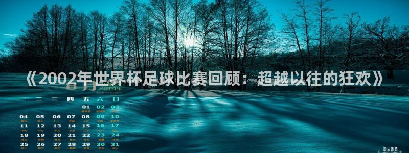 《2002年世界杯足球比赛回顾：超越以往的狂欢》
