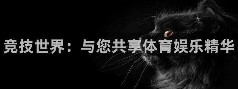 竞技世界：与您共享体育娱乐精华